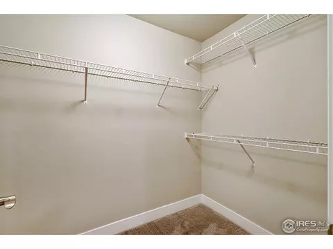978 Mt Andrew Dr, Windsor, CO 80550 photo 21