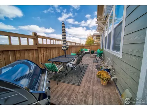 11037 E 28th Pl, Denver, CO 80238 photo 22