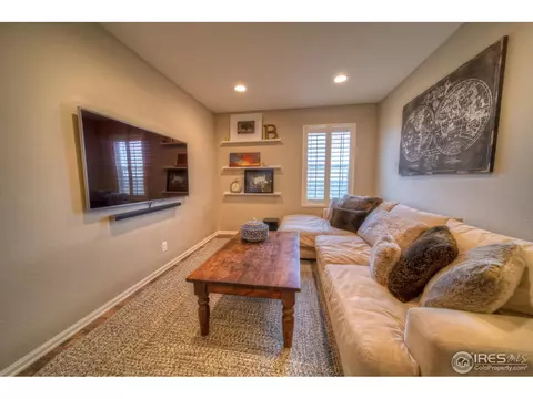 11037 E 28th Pl, Denver, CO 80238 photo 11