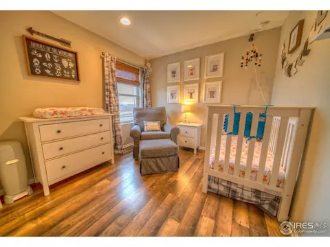11037 E 28th Pl, Denver, CO 80238 photo 12
