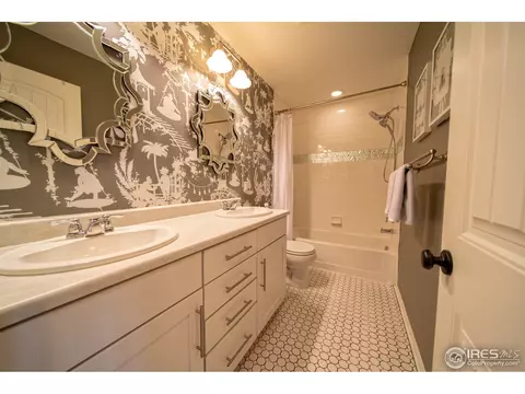 11037 E 28th Pl, Denver, CO 80238 photo 13