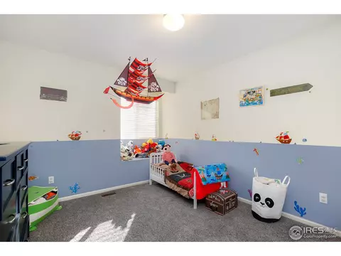 2031 E 99th Pl, Thornton, CO 80229 photo 19
