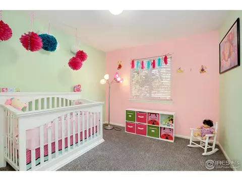 2031 E 99th Pl, Thornton, CO 80229 photo 18