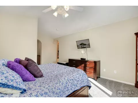 2031 E 99th Pl, Thornton, CO 80229 photo 16