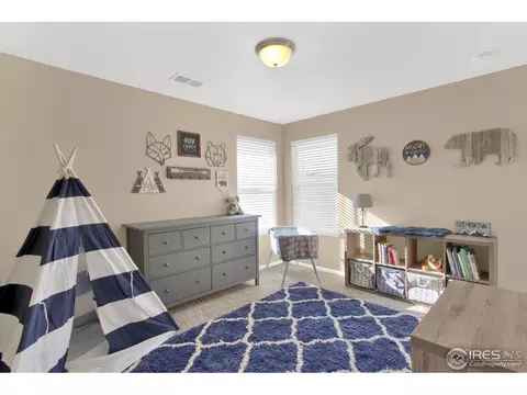 164 Kitty Hawk Dr, Windsor, CO 80550 photo 18