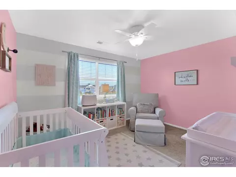 164 Kitty Hawk Dr, Windsor, CO 80550 photo 17