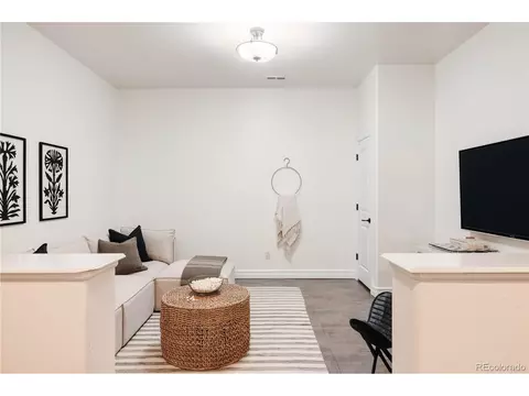 8234 E 25th Dr, Denver, CO 80238 photo 35