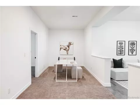8234 E 25th Dr, Denver, CO 80238 photo 34