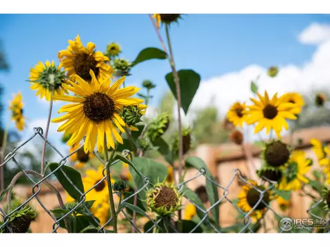 4515 Edmonton Ct, Boulder, CO 80301 photo 35
