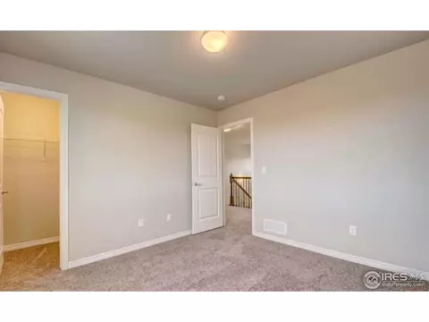 5568 Chantry Dr, Windsor, CO 80550 photo 9