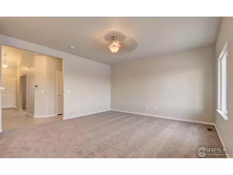 5568 Chantry Dr, Windsor, CO 80550 photo 10
