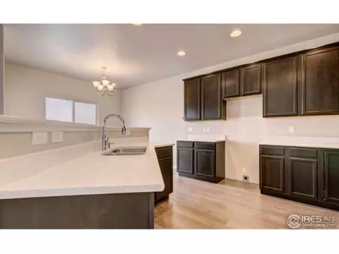 5568 Chantry Dr, Windsor, CO 80550 photo 7