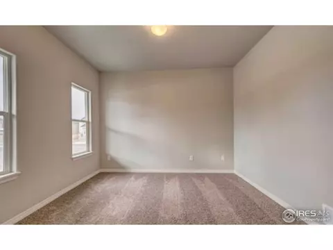 5568 Chantry Dr, Windsor, CO 80550 photo 11