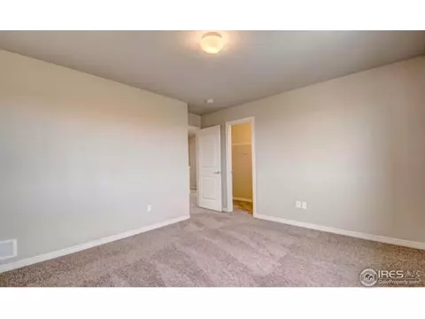 5568 Chantry Dr, Windsor, CO 80550 photo 21
