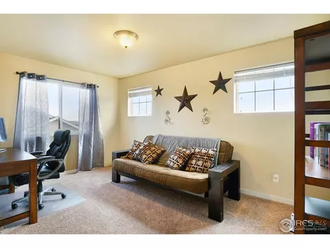 1788 Valley Brook Ln, Severance, CO 80550 photo 23