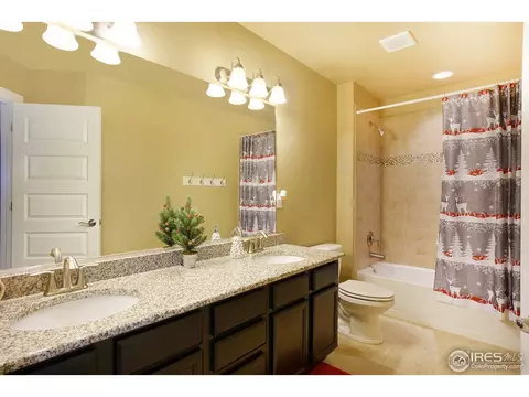 1788 Valley Brook Ln, Severance, CO 80550 photo 25