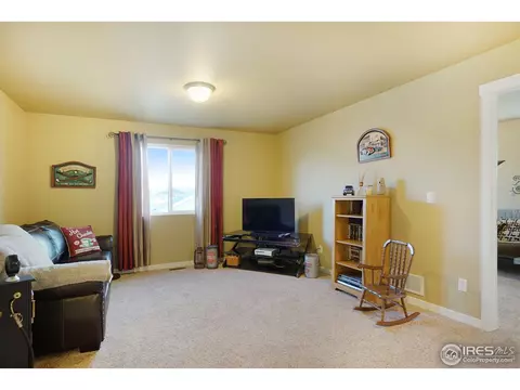 1788 Valley Brook Ln, Severance, CO 80550 photo 20