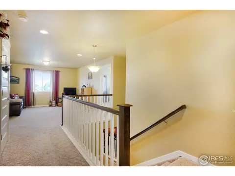 1788 Valley Brook Ln, Severance, CO 80550 photo 19