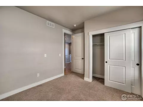 3642 Watts St, Timnath, CO 80547 photo 19