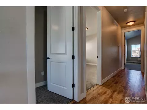 3642 Watts St, Timnath, CO 80547 photo 16