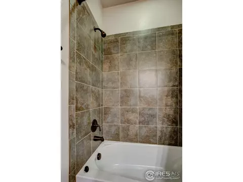 3642 Watts St, Timnath, CO 80547 photo 21
