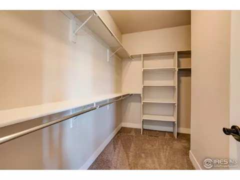 3642 Watts St, Timnath, CO 80547 photo 24