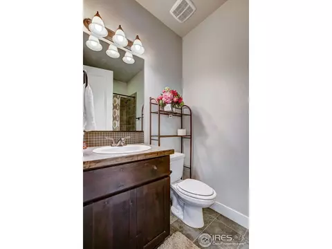 3642 Watts St, Timnath, CO 80547 photo 20