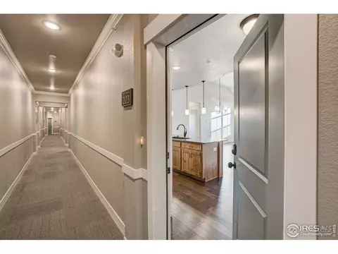 6672 Crystal Downs Dr #203, Windsor, CO 80550 photo 5