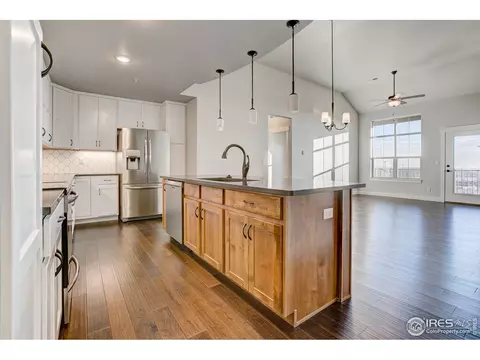 6672 Crystal Downs Dr #203, Windsor, CO 80550 photo 7