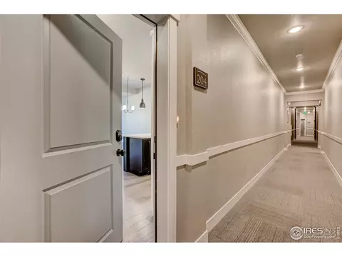 6672 Crystal Downs Dr #204, Windsor, CO 80550 photo 5