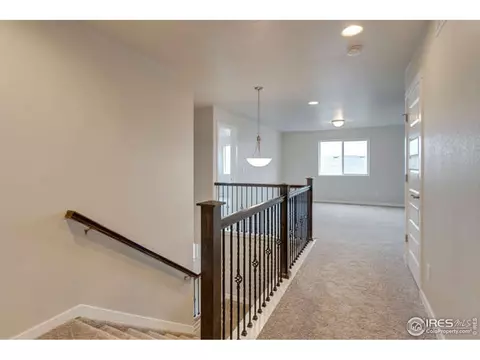 5452 Chantry Dr, Windsor, CO 80550 photo 23