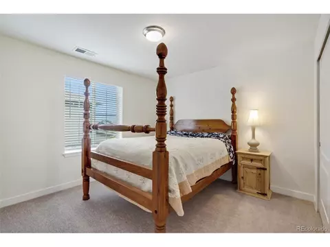 7100 Thunderview Dr, Timnath, CO 80547 photo 19
