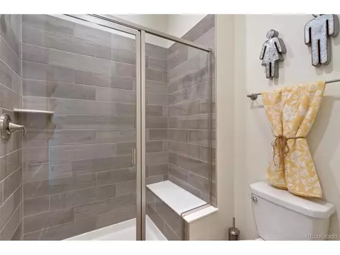7100 Thunderview Dr, Timnath, CO 80547 photo 32