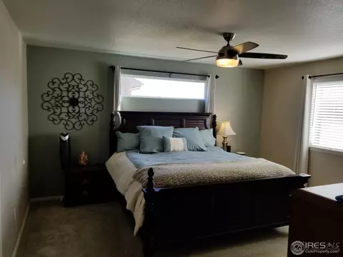 5732 Waverley Ave, Firestone, CO 80504 photo 9