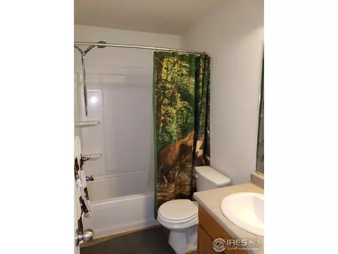 5732 Waverley Ave, Firestone, CO 80504 photo 15