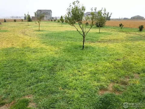 40806 Jade Dr, Ault, CO 80610 photo 9