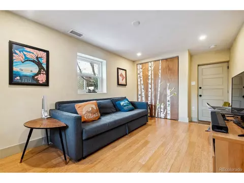 3044 Eudora St, Denver, CO 80207 photo 19