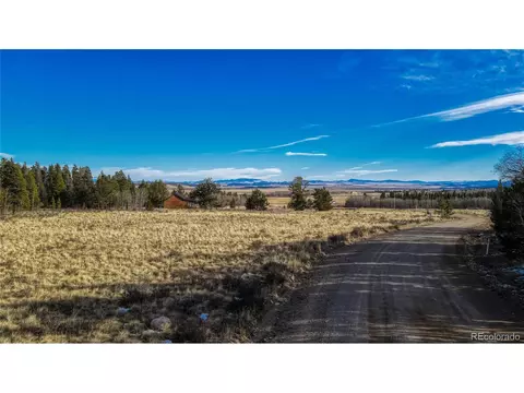 Vine Rd, Fairplay, CO 80440 photo 15