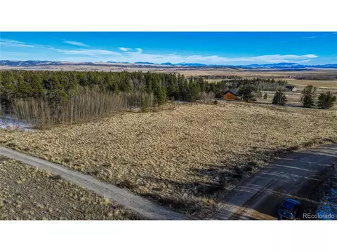 Vine Rd, Fairplay, CO 80440 photo 9