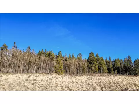 Vine Rd, Fairplay, CO 80440 photo 14
