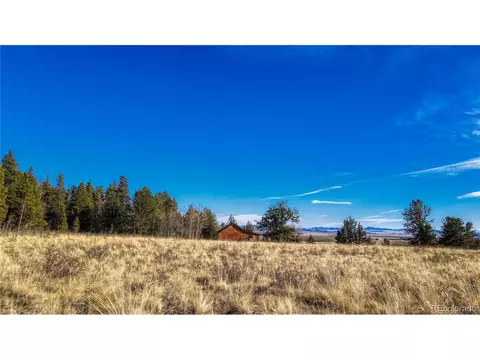 Vine Rd, Fairplay, CO 80440 photo 16