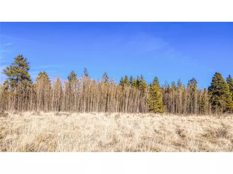 Vine Rd, Fairplay, CO 80440 photo 7