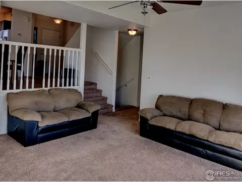 1003 5th St, Pierce, CO 80650 photo 6