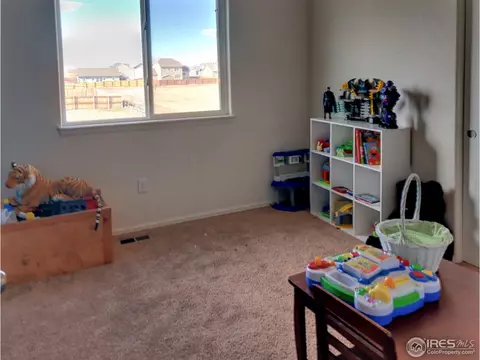 1003 5th St, Pierce, CO 80650 photo 13