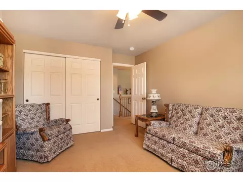 1133 E 100th Pl, Thornton, CO 80229 photo 27
