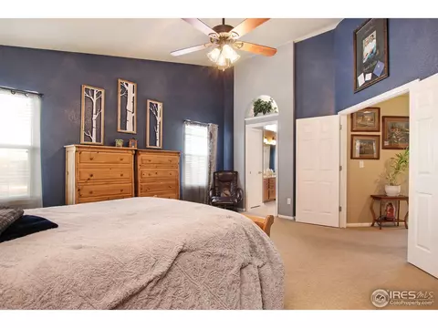 1133 E 100th Pl, Thornton, CO 80229 photo 29
