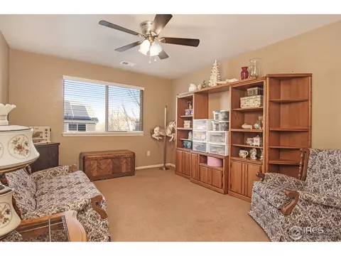1133 E 100th Pl, Thornton, CO 80229 photo 26