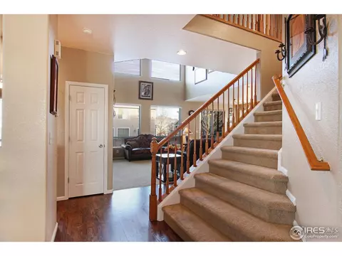 1133 E 100th Pl, Thornton, CO 80229 photo 10