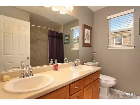1133 E 100th Pl, Thornton, CO 80229 photo 25