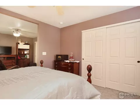 1133 E 100th Pl, Thornton, CO 80229 photo 24